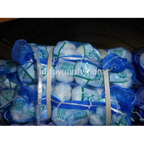 Menyimpan bahan-bahan Bawang Putih Segar di pabrik